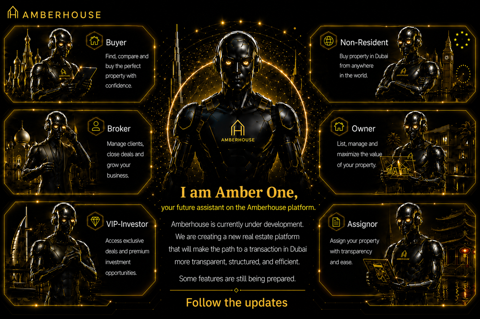 Amber House